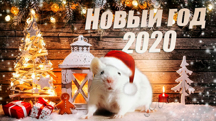 Проект новый год 2020